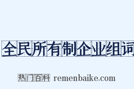 全民所有制企业组词是什么意思的图片